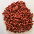 Low Pesticides EU Standard 600 Grains Goji Berry High Quality